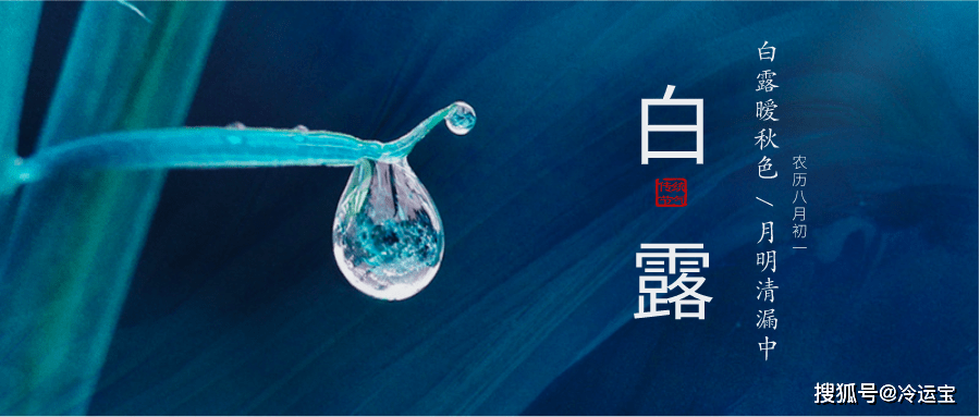 什么叫白月 0e9eaefb697746db8af6d2e99848c1e5.png
