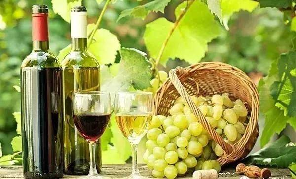 人体|论酒的营养价值