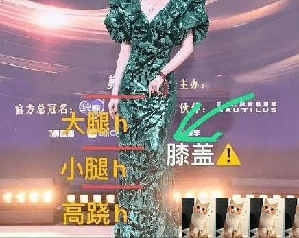 身材|完全暴露身材缺陷，明星尴尬红毯造型，不好意思，笑出了声