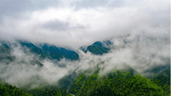 中冶柏芷山避暑度假公园太美了 北纬28 最美避暑天堂 重庆人的避暑后花园 项目 全网搜