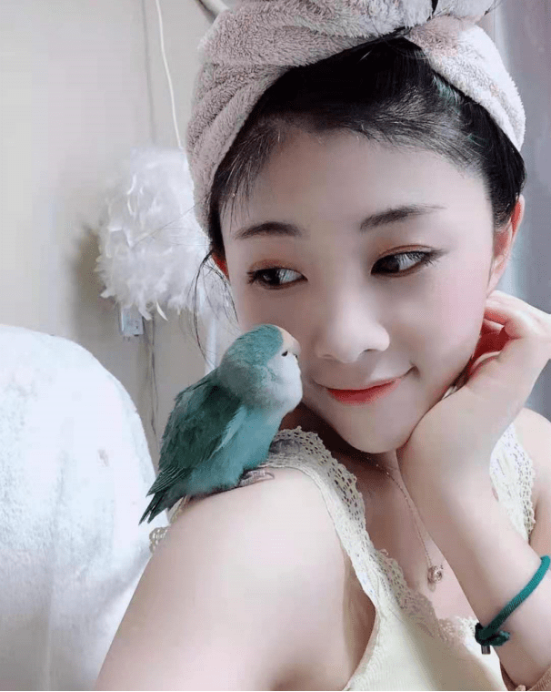 此外,两个小家伙还经常在琳宝直播时上演翻转,绕飞