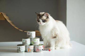 因为|有哪些值得推荐的猫零食，猫咪最爱的猫零食排行榜