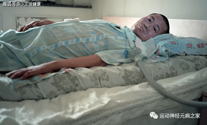 科普|运动神经元是什么?(定向科普)