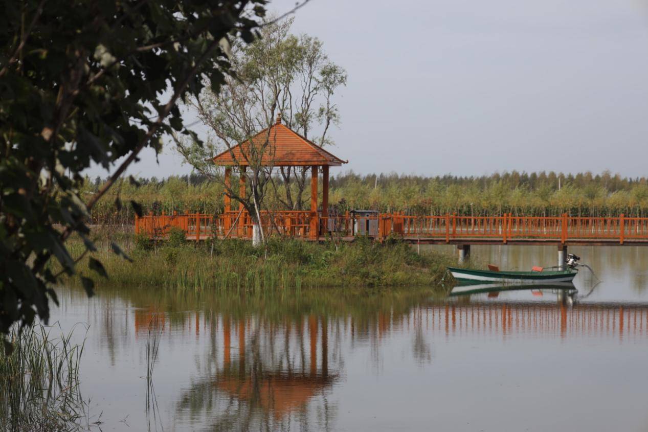 黑龙江明水县:改善人居环境 助推乡村振兴