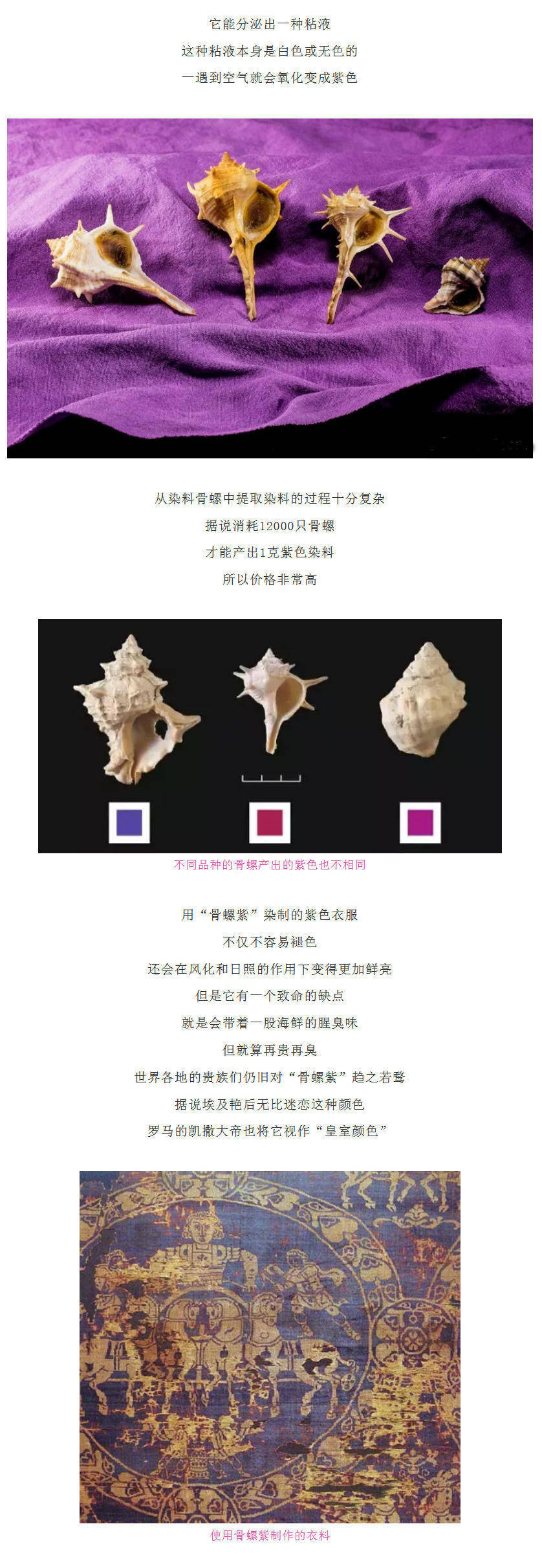 皇室|【大中华寻宝记神兽全知道】“屎黄色”居然是来自皇室的尊贵颜色？