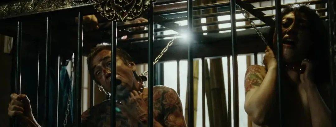 电影|终于等来了这部狂暴犯罪片