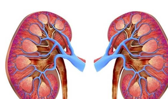 症状|糖尿病肾病有什么症状？怎么防糖尿病肾病？