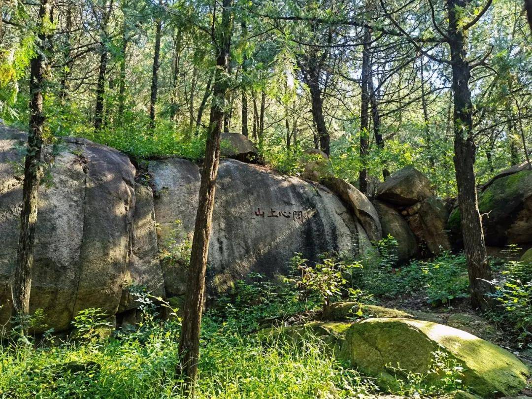 黑龙潭|无门票|济南出发，泰山免费景区赏清潭飞瀑、森呼吸，能玩水可登山