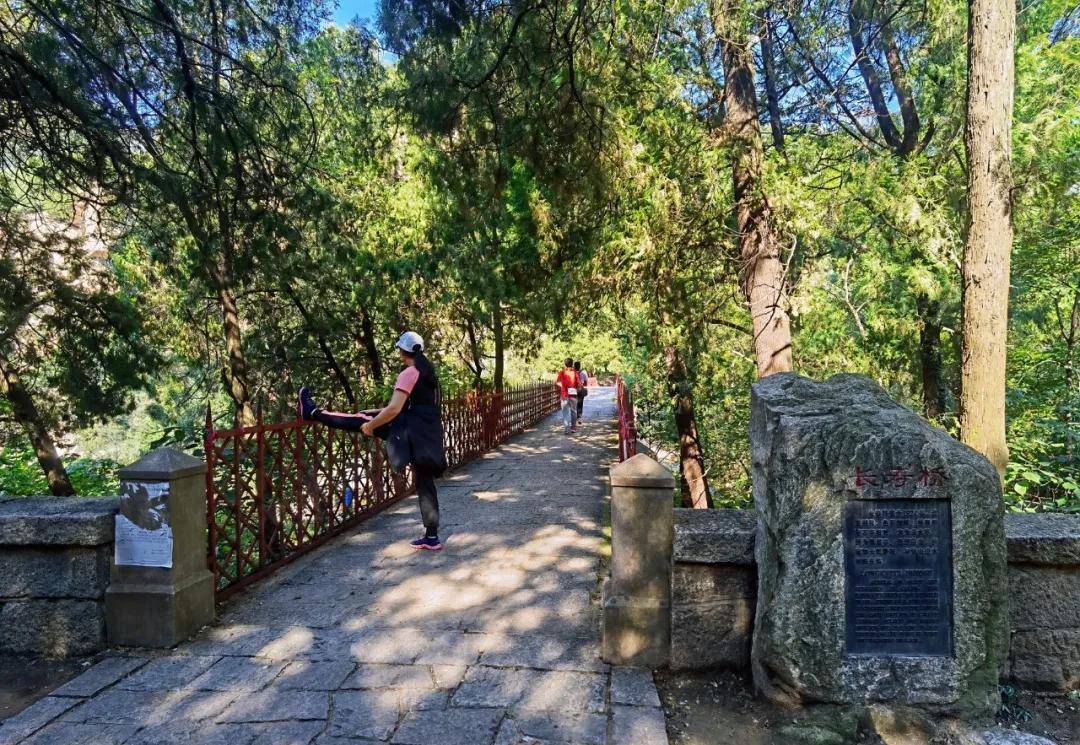 黑龙潭|无门票|济南出发，泰山免费景区赏清潭飞瀑、森呼吸，能玩水可登山