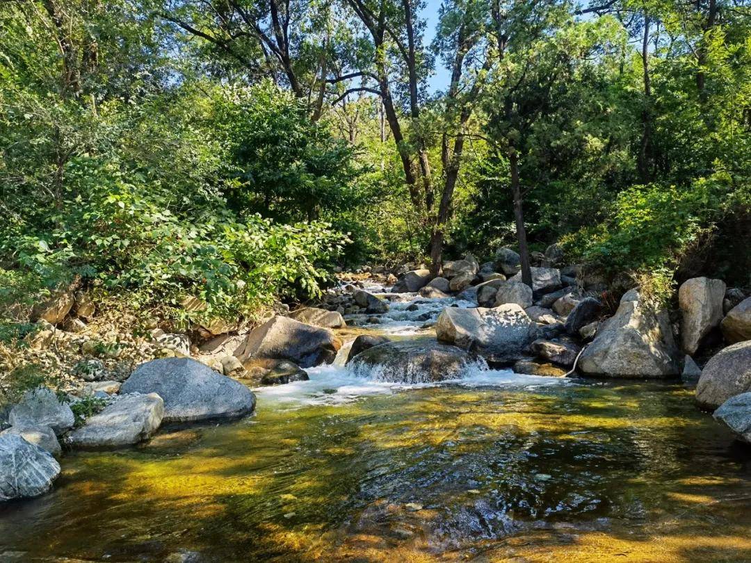 黑龙潭|无门票|济南出发，泰山免费景区赏清潭飞瀑、森呼吸，能玩水可登山