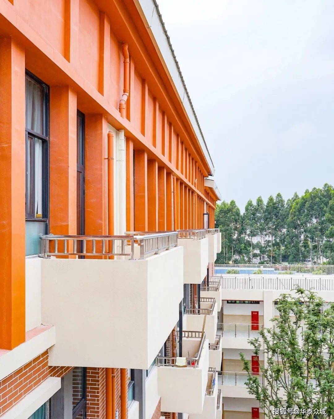 成都郫都红光中学撷一片日月之光收进书香浓郁的校园里