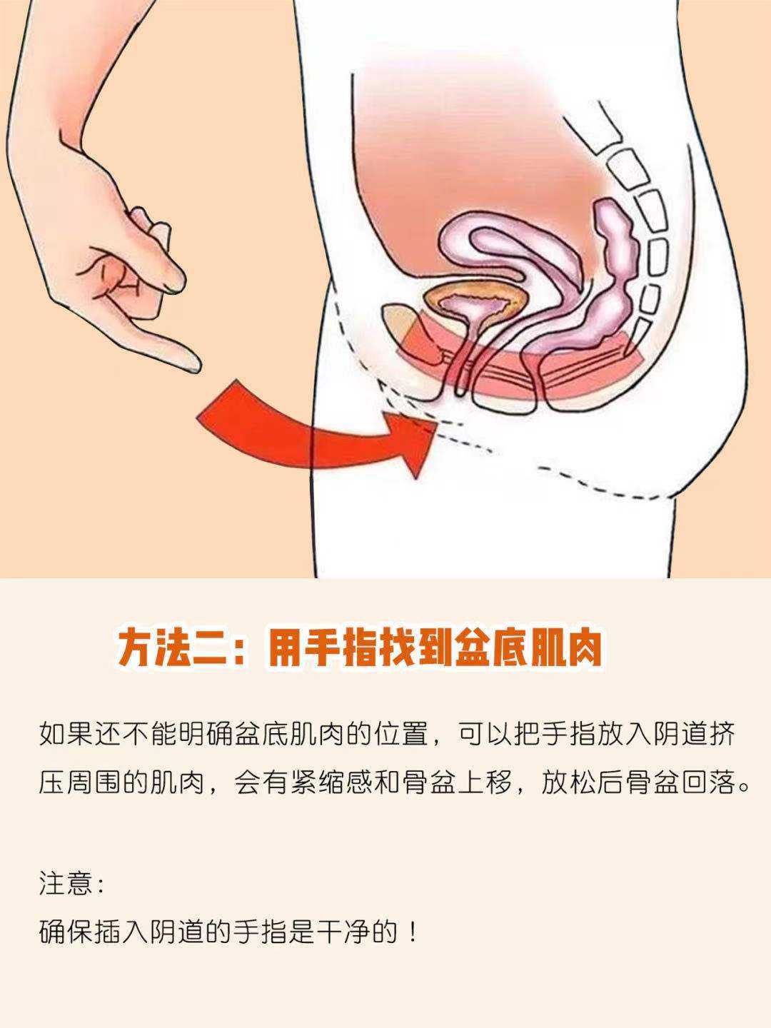 张力|孕期产后修复｜准妈必做凯格尔运动详解