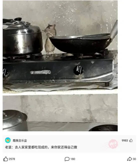 1b0a62c4c6604283af39e1086bfcb998.jpeg