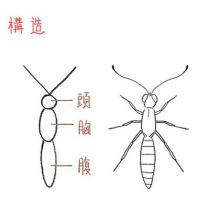 dd62b6079814446d9963c8ab2955b8d8.png