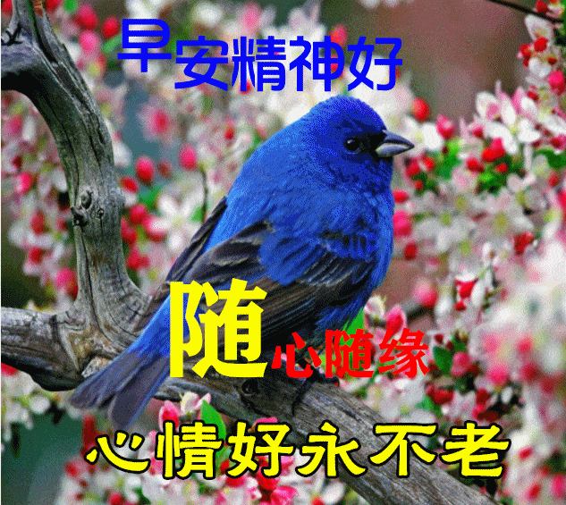 原创2021年9月12日星期日清晨早上好问候祝福动态图片周日最新早安