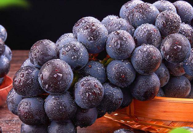 面包|处暑后,早餐建议“喝2粥、吃3果”,润燥解秋乏,比吃面包强