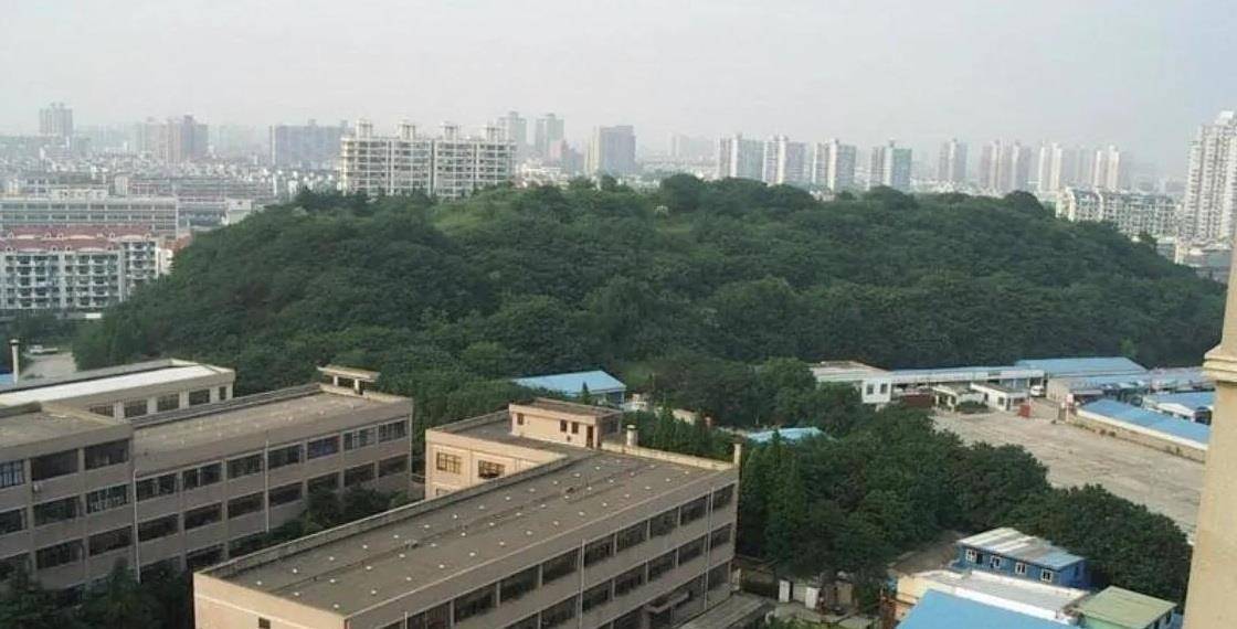 上海市区“神秘”的山，曾被当作靶场和刑场，现在不对外开放