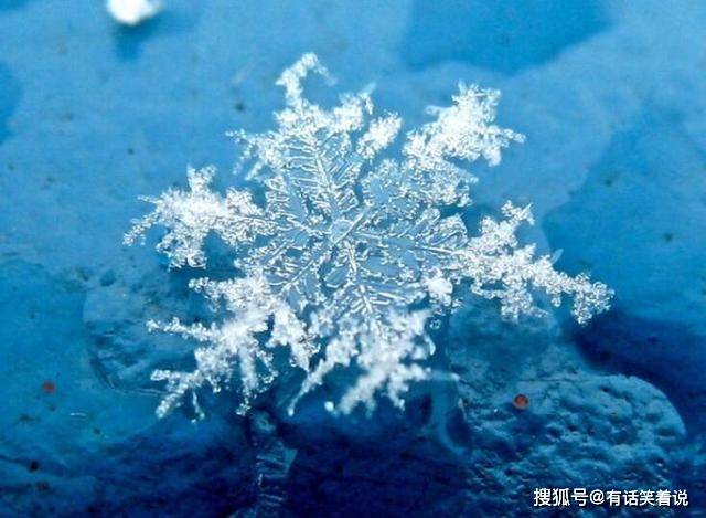 原创科学家警告前所未见的北极僵尸野火冰下火焰无法扑灭