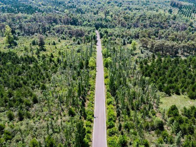 重10斤山西清徐县发现2只大野鸡性情刚烈意味着什么