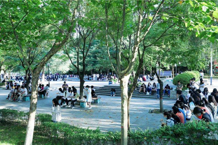 万人|阳光不燥，读书正好 !西安翻译学院学子共赴“万人晨读”！