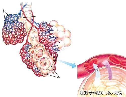 原創科學解析人被困在冷凍集裝箱裡是先被憋死還是先被凍死