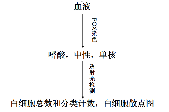 血液分析儀的檢測原理及臨床應用_血細胞