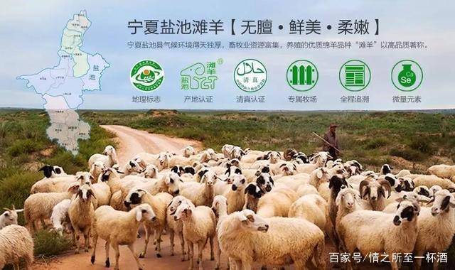 生活|家在宁夏,我骄傲!