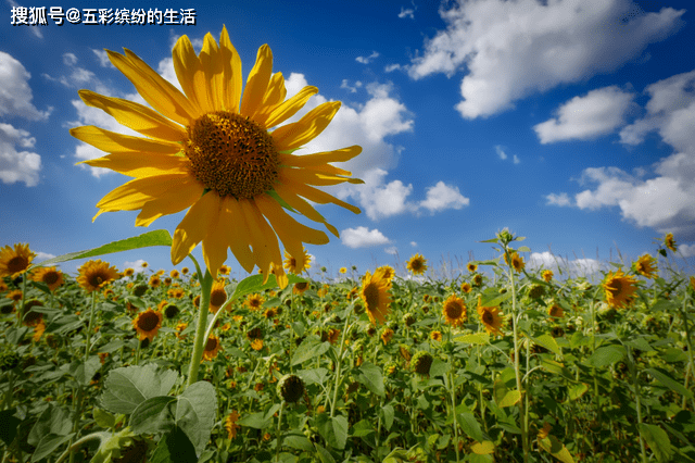 1dac7fafc9b74e55b51758651ece417a.png