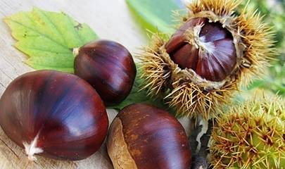 治疗|晚上当零食吃一把此物，补气益血，健脾胃，降血压，早食早好