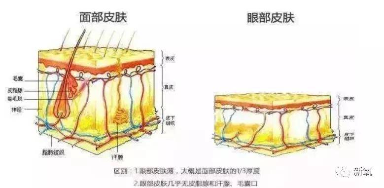 杨幂|救命，杨幂的新造型也太俗了！完全靠一双眼硬撑...