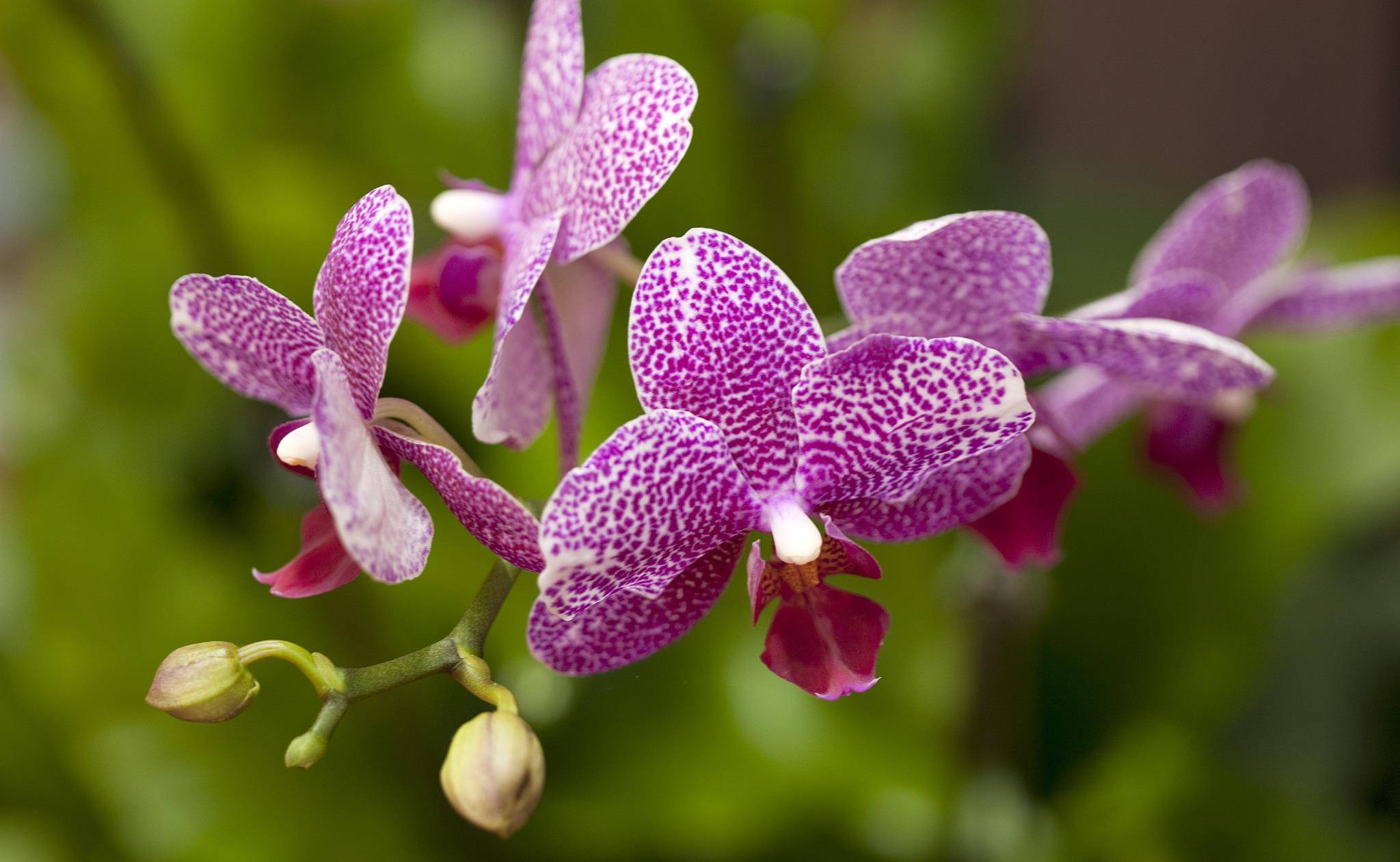 我结婚时没要彩礼妯娌嫁进来第一天就对我充满敌意怪我连累她