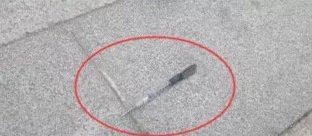 男子帶哈士奇遛彎，二哈猛然間栽倒在地，一看原因氣壞了！ 萌趣萌寵 第2张