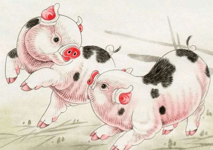 虎年猪生肖婚姻运势(虎年 属猪)