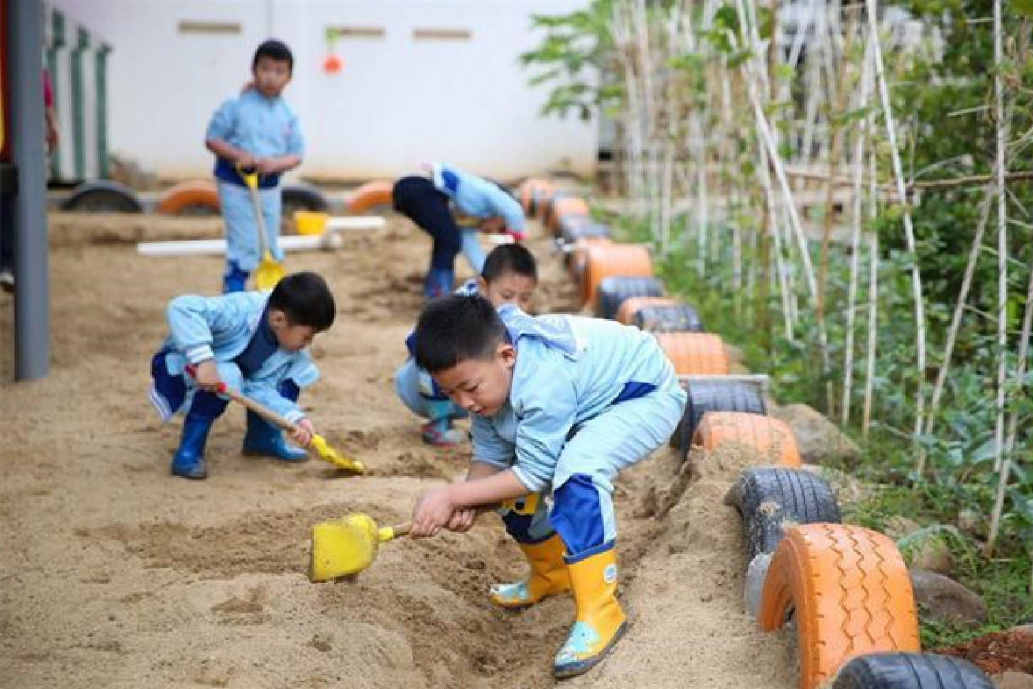 免疫力|孩子刚上幼儿园就生病了，断断续续不好，揭露一个养育大问题