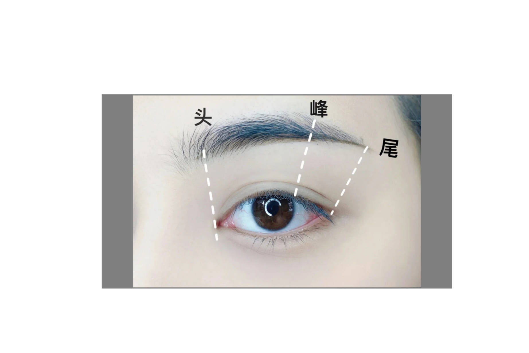 交汇点|画不好眉毛比例？知道这些，教你区分眉毛的各个区域。