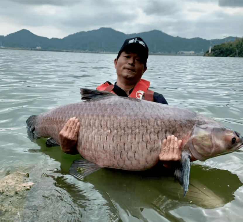 中國釣王的狂野人生