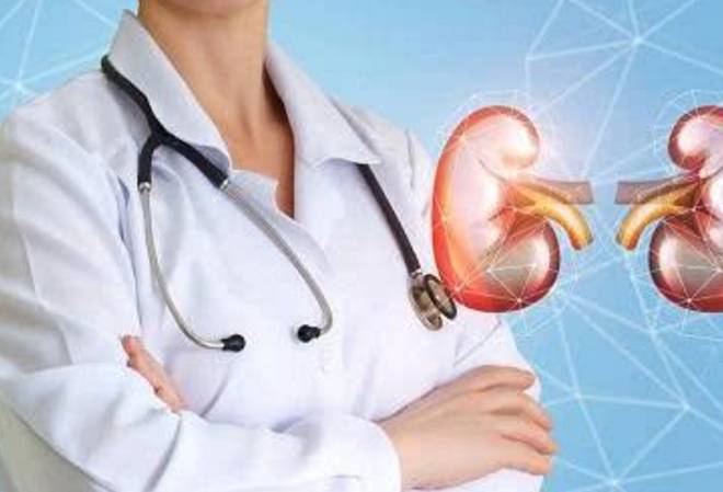 杨桃|多吃这5类食物养肾,而吃这4种食物易引发肾衰竭