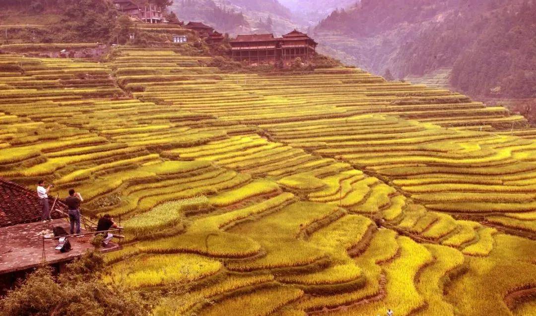 八月份长白山上面冷不冷 c5e60e6c9dea448b933876a8c6f8c07a.jpeg