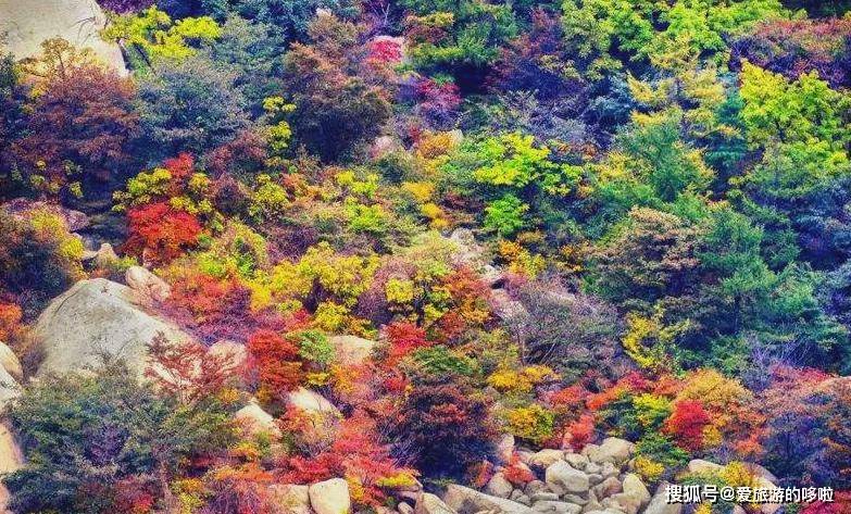 中国最早最美的秋天在这里 美的无可救药