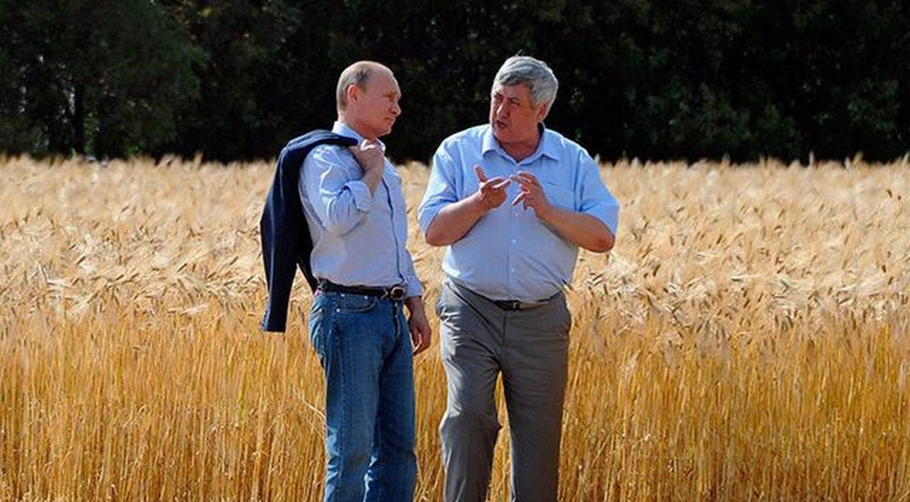 俄罗斯和乌克兰的小麦战争：埃及转向把俄专家都搞糊涂了g6n