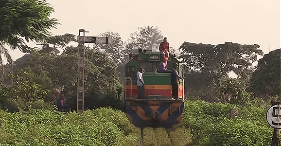 非洲刚果玩命火车有可能被甩死也有可能被树枝戳死