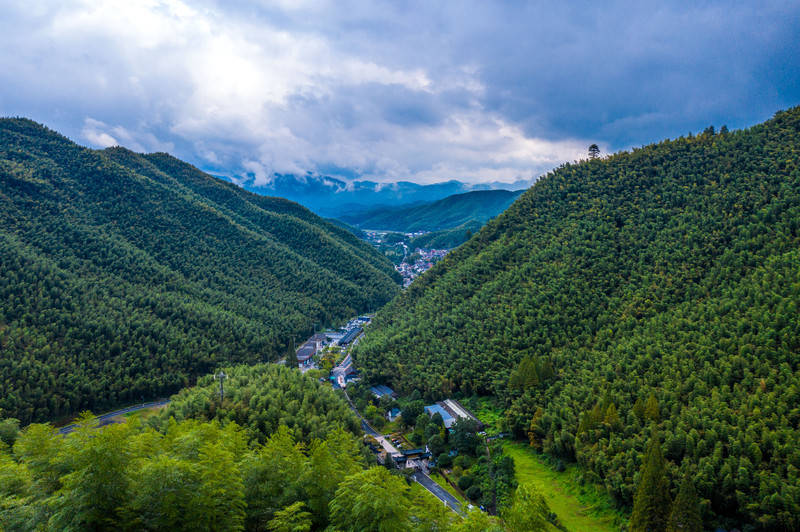 游卧虎藏龙取景地,安吉中国大竹海!