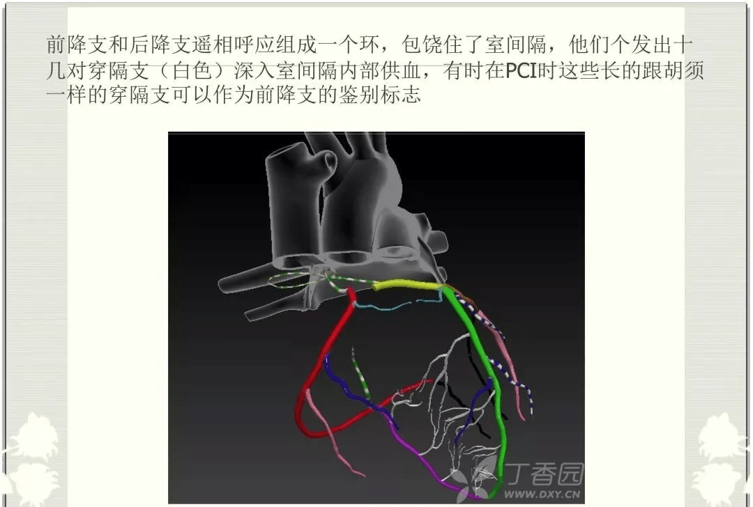 a087471411eb4b339efaa7d1f8e69241.png
