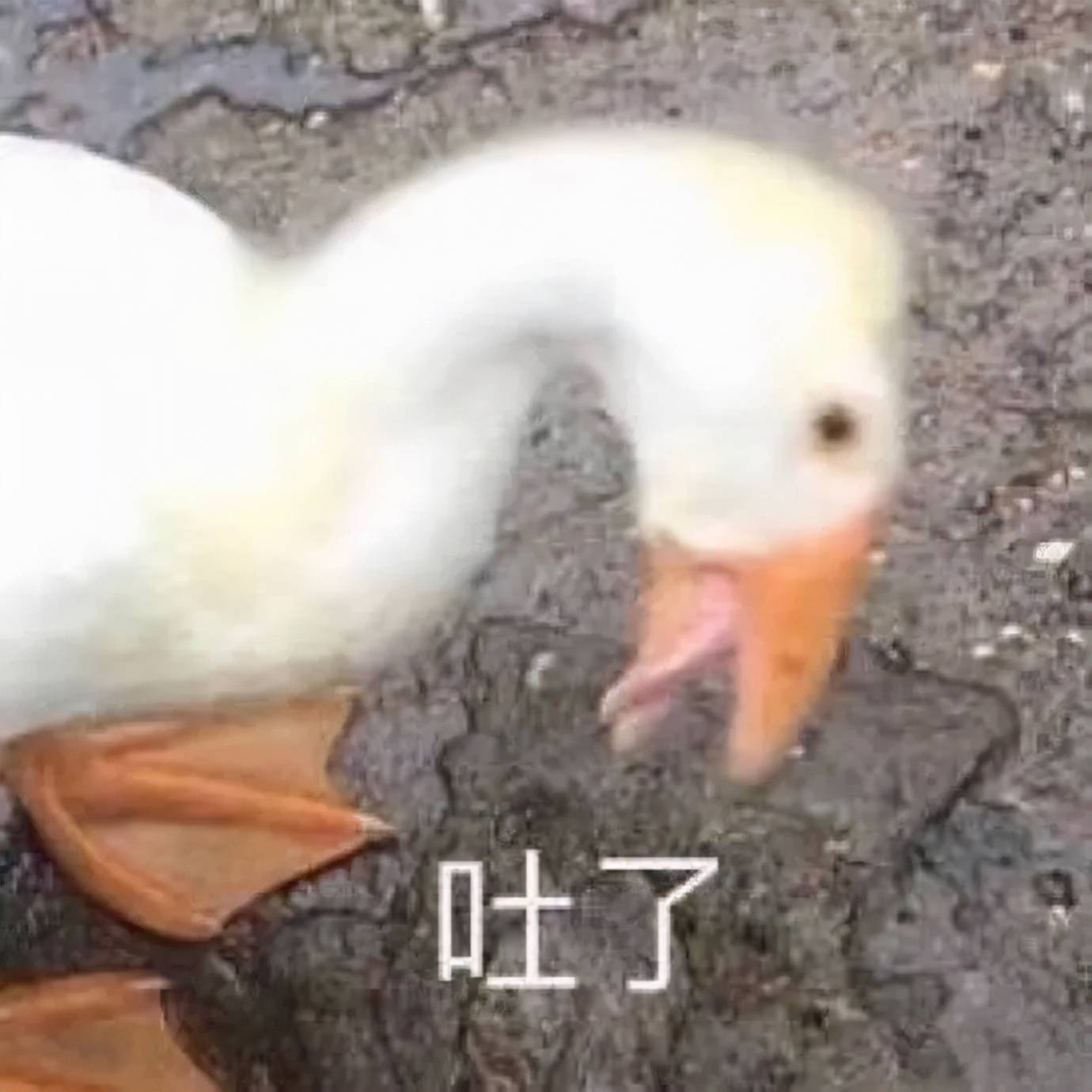 林允|林允近期爆照让人太意外了！她这算成功触底反弹了吗？