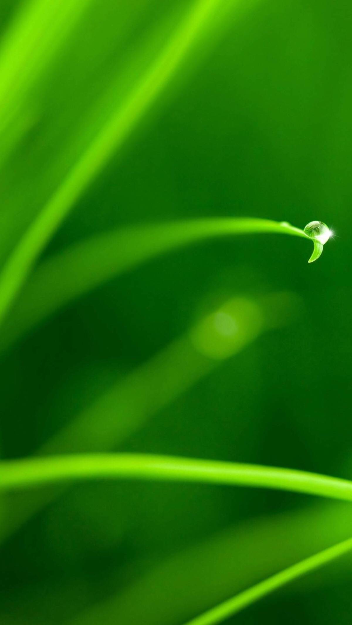 有些人,你是怎么都是留不住的