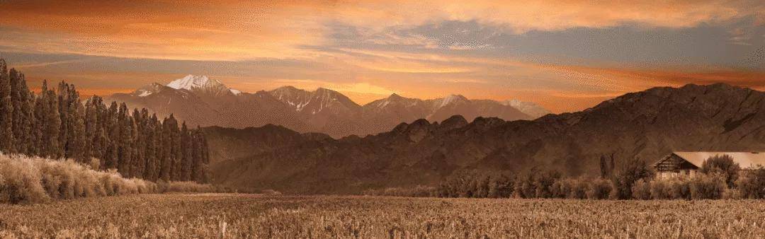 栽培|菲雷尔酒庄维斯塔干红葡萄酒2014!