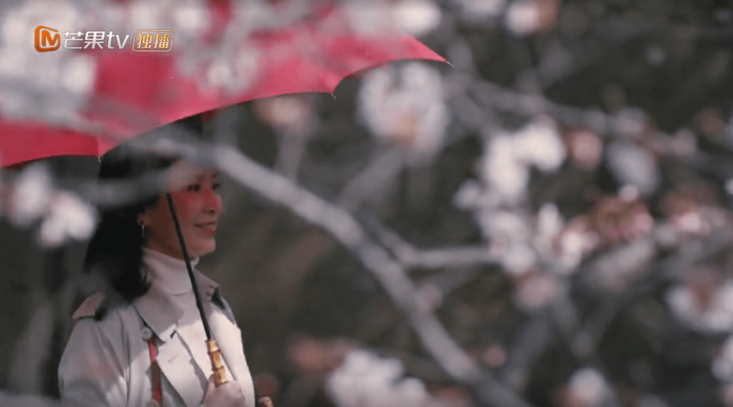 电影|《天目危机》仅12集播放量破7亿，剧情高能反转，结局陷入迷思