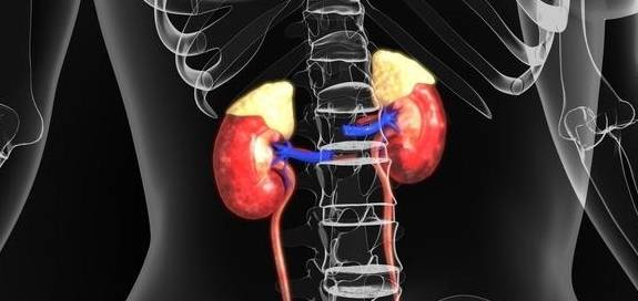 补充|这样运动会伤肾，医生提醒出现2种症状，不要大意