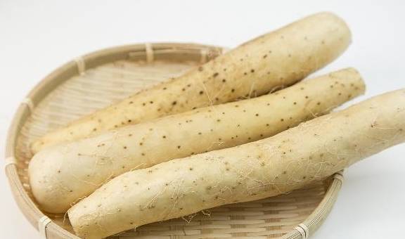 胃不好的人能吃山药吗好消化吗 6361be11906845b98d54277cfbbc8b68.jpeg