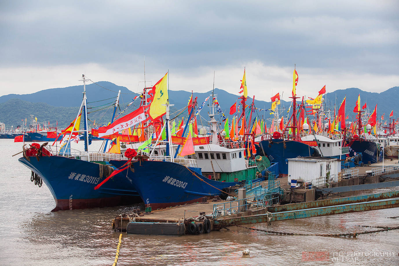 石浦镇|浙江开渔了！四个半月的禁渔后，迎来海鲜的大丰收，吃货们有福了